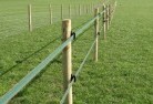 Burgeselectric-fencing-4.jpg; ?>